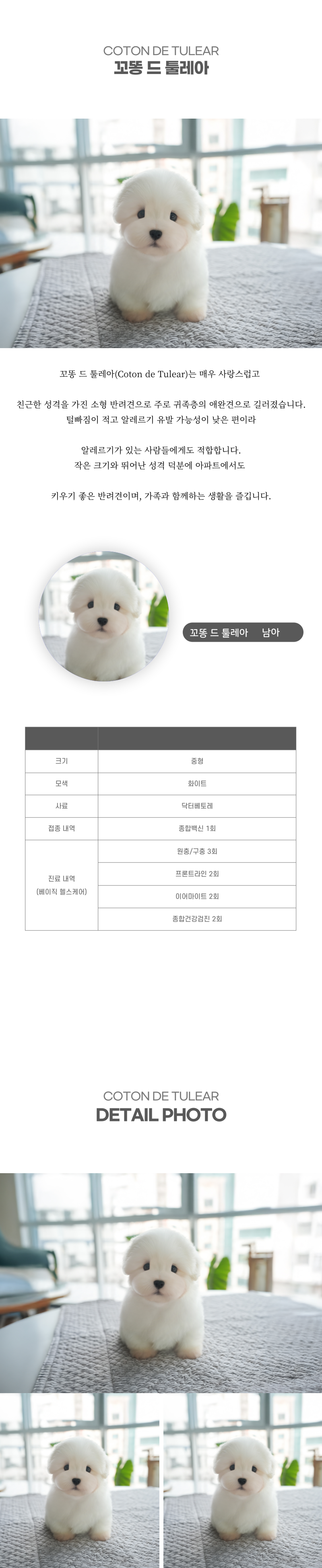 꼬똥_상세이미지_2